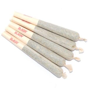 Buy 10 Gorilla Glue Pre-Rolled Joints in Bora Bora